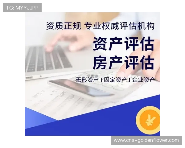 第三方审计机构介入评估,确保流量数据真实可信。