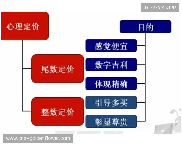 价值导向定价策略普及 按处理时长或流量计费