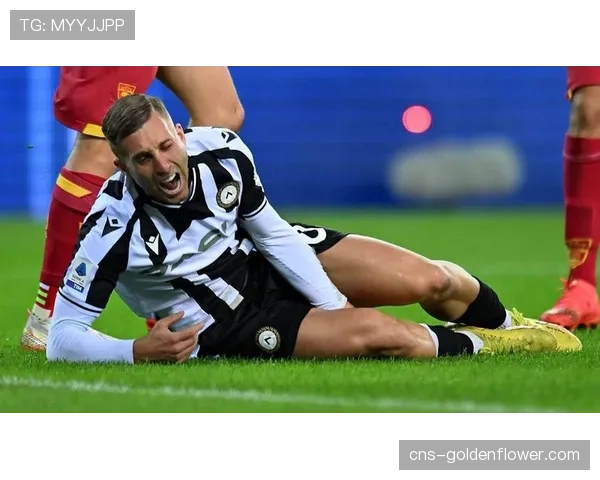 乌迪内斯老将德乌洛费乌:我希望在意大利结束职业生涯 乌迪内斯老将德乌洛费乌:我希望在意大利结束职业生涯